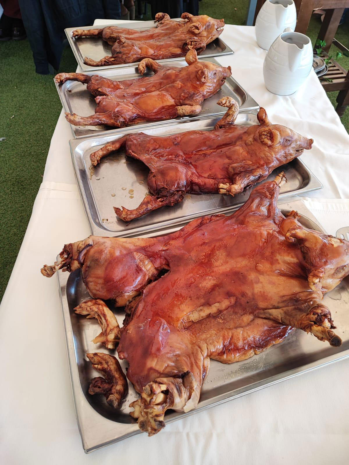 cochinillo-03